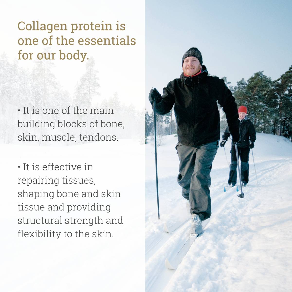 Ballstad Premium Collagen Supplement - Ballstad Norge
