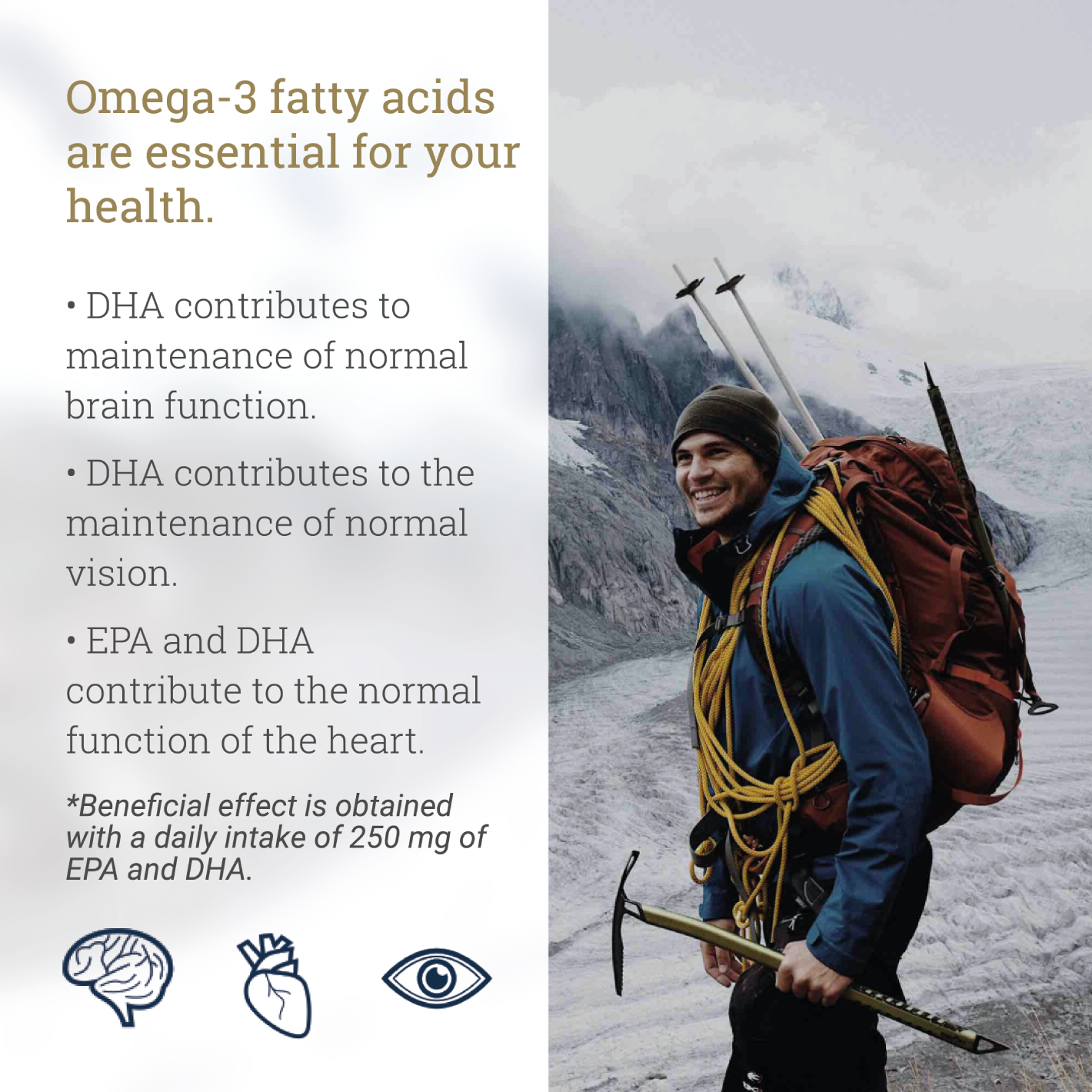 Ballstad Premium Omega-3 Supplement - Ballstad Norge