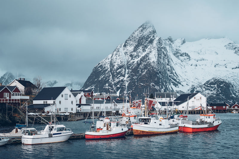 Colorful fishing boats docked in the harbor of Hamnøy village, surrounded by traditional red and white houses and dramatic snow-covered mountains in Lofoten, Norway.