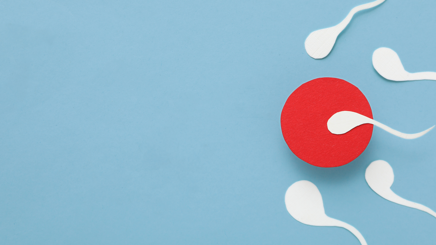 Sperm Health and Nutrition: Why Omega-3 Matters