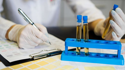 Scientist wearing gloves writing on a clipboard while handling test tubes with yellow liquid in a blue rack, symbolizing laboratory research and clinical testing.