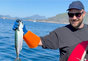 Why Norwegian Fish Is the Best: Nature, Science & the Ballstad Standard