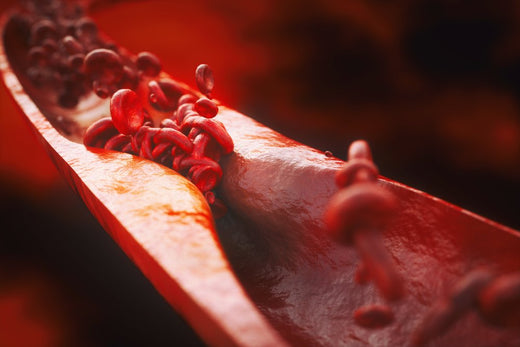 3D illustration of a clogged artery with red blood cells struggling to flow through plaque buildup, representing cardiovascular disease and poor heart health.