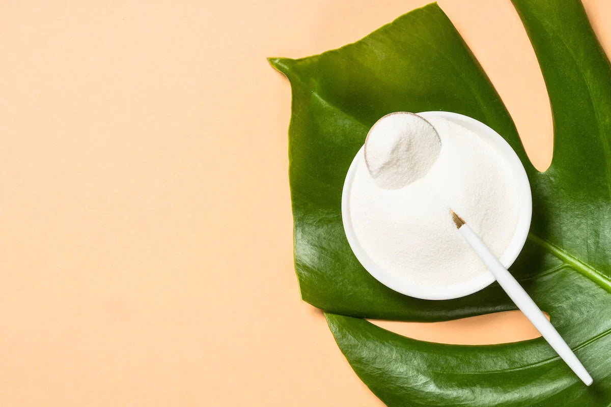 White bowl with collagen powder and a spoon placed on a large green leaf over a beige background.