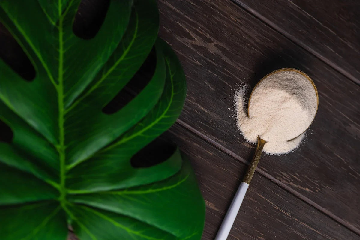 A spoon filled with white collagen powder resting on a dark wooden surface, with some powder spilled around it and a large green tropical leaf placed nearby.