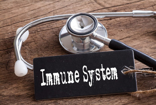 Stethoscope resting on a wooden surface beside a black tag labeled 'Immune System,' representing medical focus on immune health.