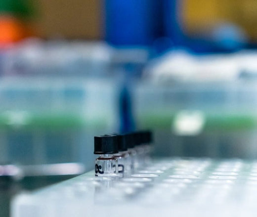 Omega-3 Blood Testing Is Gaining Traction with Experts