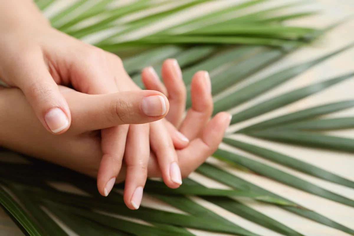 Close-up of clean and healthy natural nails on a hand resting over green palm leaves.