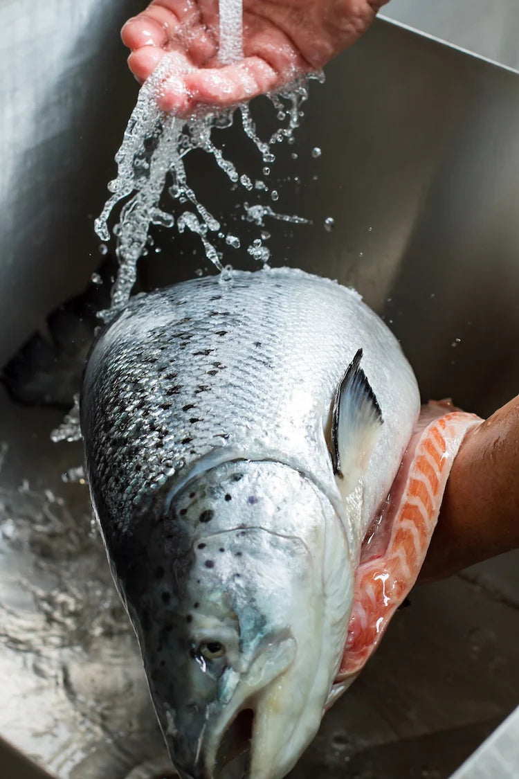 Person washing a fish under running water